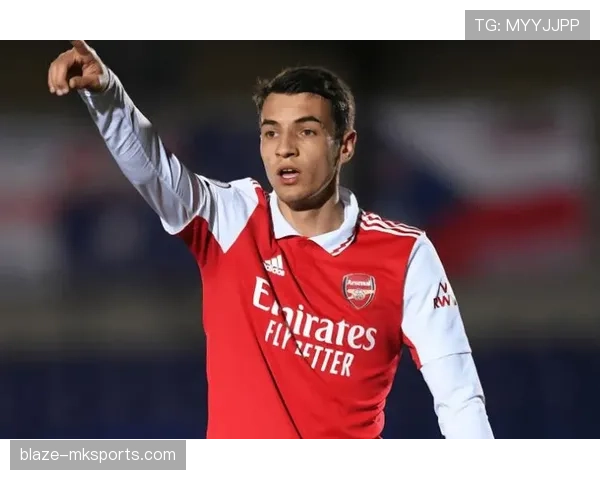 埃弗顿革新球队结构，探索新赛季成功新路径